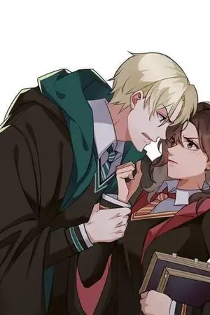 ปกนิยาย The stars and the moon are always together.