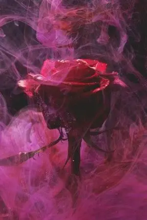 ปกนิยาย { Fic Reborn}กุหลาบที่สวยแต่อันตราย A beautiful but dangerous rose