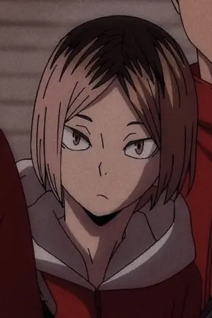 ปกนิยาย [ Fic Haikyuu x Tokyo Revengers ]  เจ้าแมวสามสี