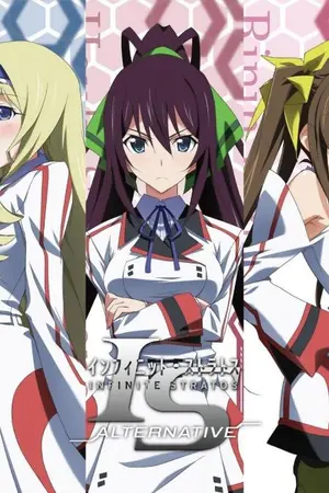 ปกนิยาย Infinite Stratos : Alternative