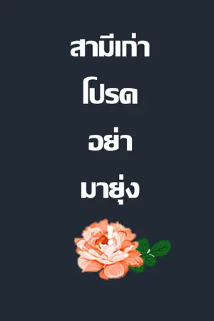 ปกนิยาย สามีเก่าโปรดอย่ามายุ่ง!