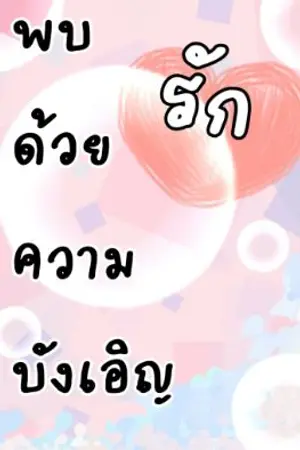 ปกนิยาย พบรักด้วยความบังเอิญ