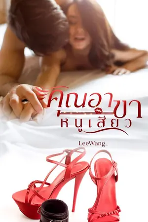 ปกนิยาย