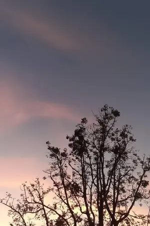 ปกนิยาย หัวใจรักแก่นตะวัน