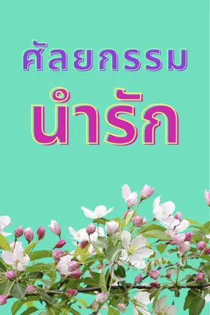 ปกนิยาย ศัลยกรรมนำรัก (จบ)