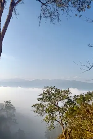 ปกนิยาย ทางของฉัน