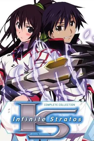 ปกนิยาย infinite stratos new challenger