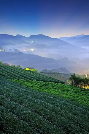 ปกนิยาย หัวใจคนเถื่อน(จบแล้ว)