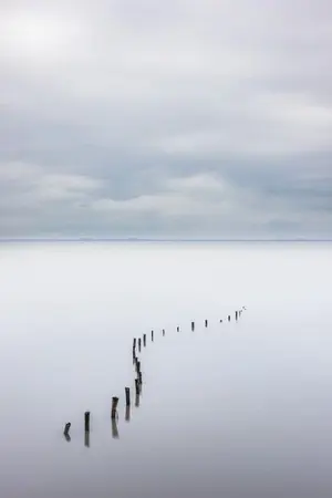 ปกนิยาย LIGHT SHRED//GROW : ไลท์เชล์ด โกรว์