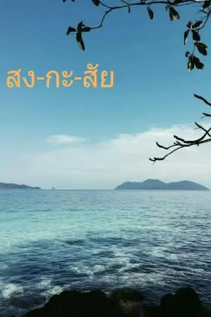 ปกนิยาย สง-กะ-สัย