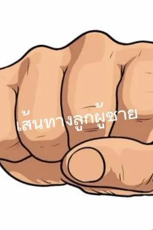 ปกนิยาย