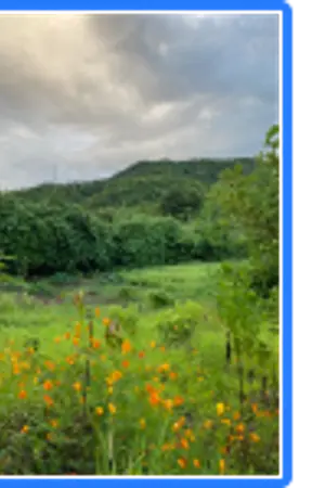 ปกนิยาย ไร่รวมฝันปันสุข