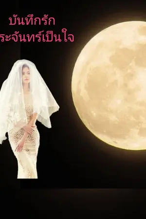 ปกนิยาย บันทึกรักพระจันทร์เป็นใจ