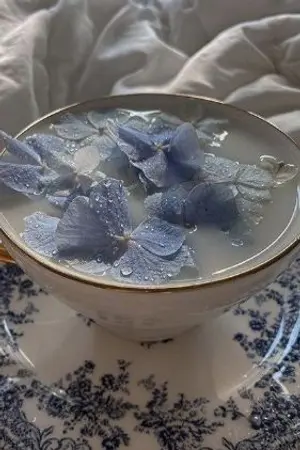 ปกนิยาย fic harry potter (???&oc)