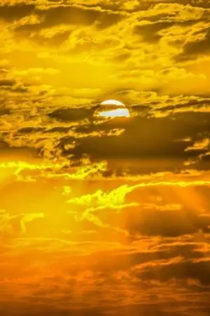 ปกนิยาย {harry potter} ดวงตะวันแห่งHufflepuff