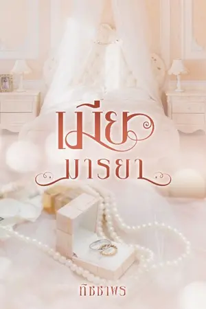 ปกนิยาย เมียมารยา / รอรีไรท์