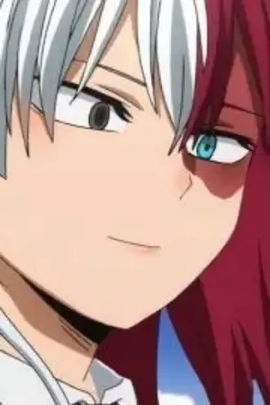 ปกนิยาย [ BNHA x OC ] •Todoroki Twins• เปลวเพลิงที่ส่องประกาย