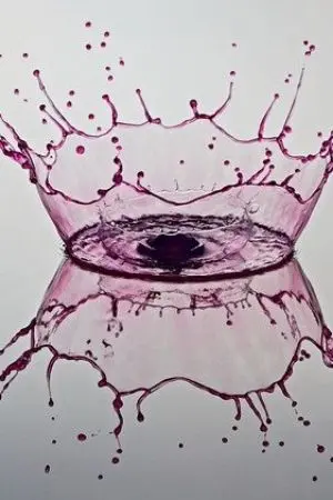 ปกนิยาย มาคัส