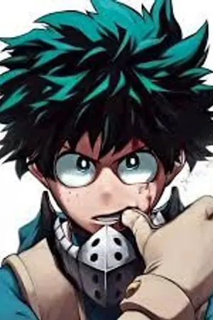 ปกนิยาย (FIC MHA X Mask Rider X All Anime) Duo Soul Rider