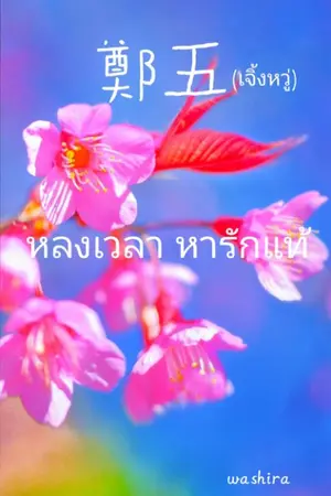 ปกนิยาย หลงเวลา หารักแท้