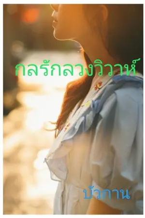 ปกนิยาย กลรักลวงวิวาห์