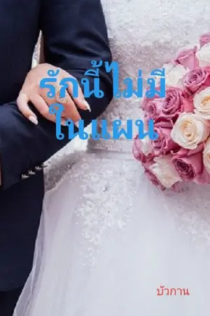 ปกนิยาย รักนี้ไม่มีในแผน