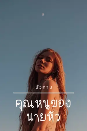 ปกนิยาย