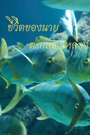 ปกนิยาย ชีวิตของนายตะกลองเหลือง