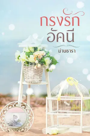 ปกนิยาย