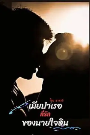 ปกนิยาย เมียบำเรอที่รักของนายใจหิน