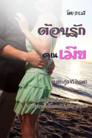 ปกนิยาย ต้อนรักคุณเมีย