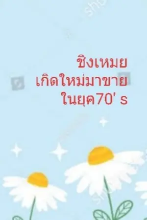 ปกนิยาย ชิงเหมย เกิดใหม่มาขายในยุค70's