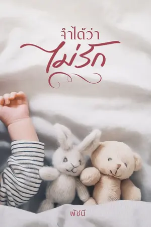 ปกนิยาย จำได้ว่าไม่รัก