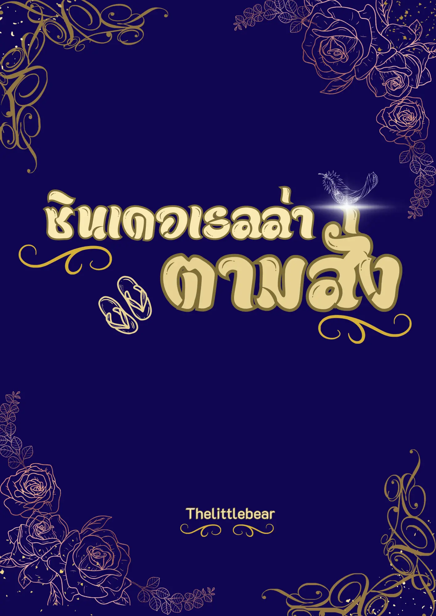 ปกนิยาย