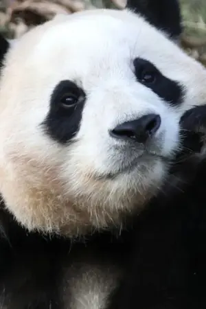 ปกนิยาย โลกของฉันและทฤษฏีแห่งความจริง