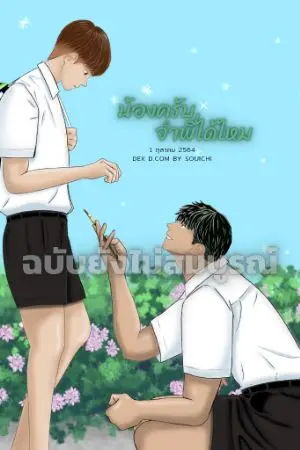 ปกนิยาย น้องครับ​ จำพี่ได้ไหม