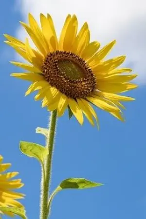 ปกนิยาย เริ่มต้นใหม่ให้แก่ชีวิต