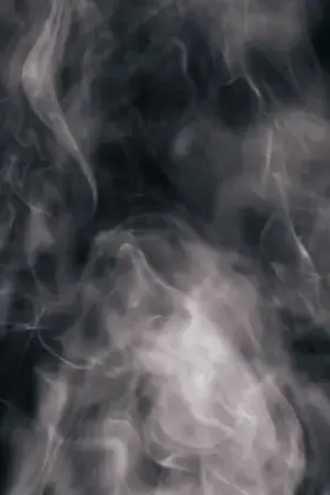 ปกนิยาย เสียงข้างบ้าน