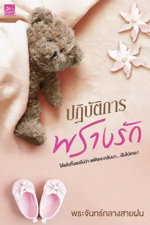 ปกนิยาย ปฏิบัติการพรางรัก [สนพ.ชูการ์บีท/Ebook&Paperback]