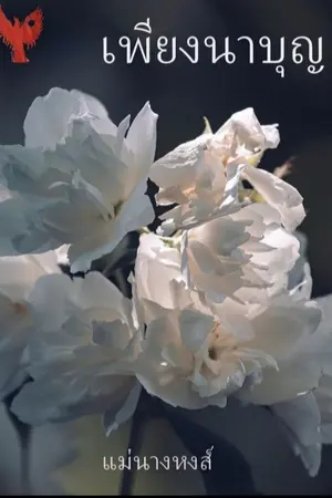 ปกนิยาย เพียงนาบุญ