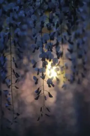 ปกนิยาย God don't save me(วายสยองขวัญบ้าอะไรกัน!)