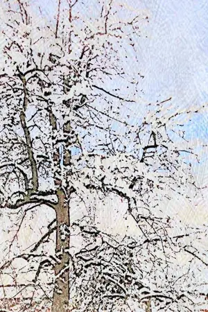 ปกนิยาย แม่นางน้อยหร่วนชิง