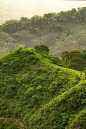 ปกนิยาย เกิดใหม่ยังไม่พอดันมีเพื่อนเป็นฆาตกรในอีกมิติหนึ่งสะได้