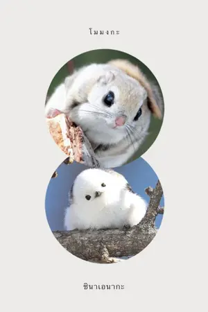 ปกนิยาย โม-ชิ  ชวนคุณหมอไปดูแมวที่จวนท่านหงอี้