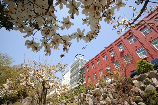 Photo credit  : Dong-A University - office of international affairs (Facebook)