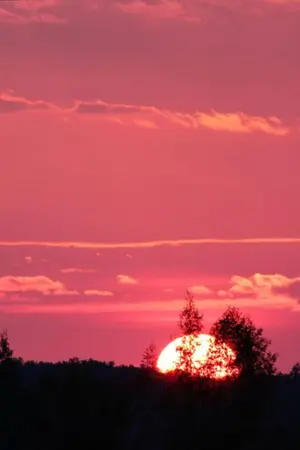 ปกนิยาย [ รามเกียรติ์ ] : รักสองภพบุปผาสุริยัน