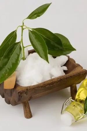 ปกนิยาย อัลฟ่ากลินการบูร [Omegavers] EIGMA X ALPHA