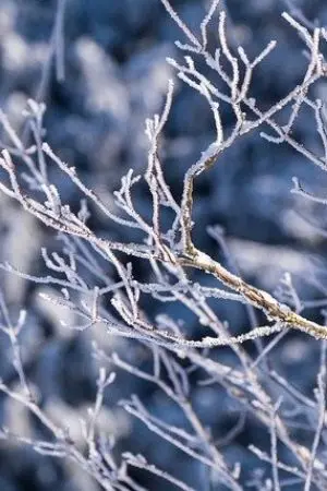 ปกนิยาย [Fic Tokyo Revengers] ทำไมฉันถึงได้มาที่นี่กันเนี่ย!!!