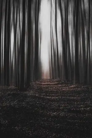 ปกนิยาย ชัมเเละความหน้ากลัว