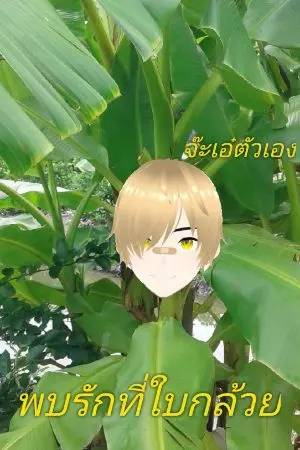 ปกนิยาย พบรักที่ใบกล้วย